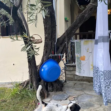 μπαλκόνι στο αιγαίο Vakantiehuis Zagorá