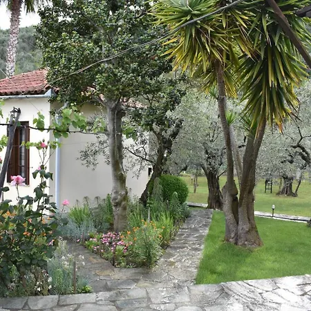 μπαλκόνι στο αιγαίο * Zagora