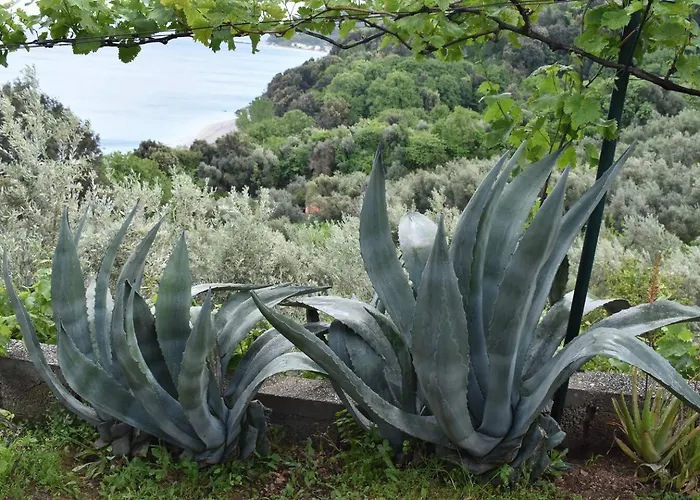 Semesterbostad μπαλκόνι στο αιγαίο