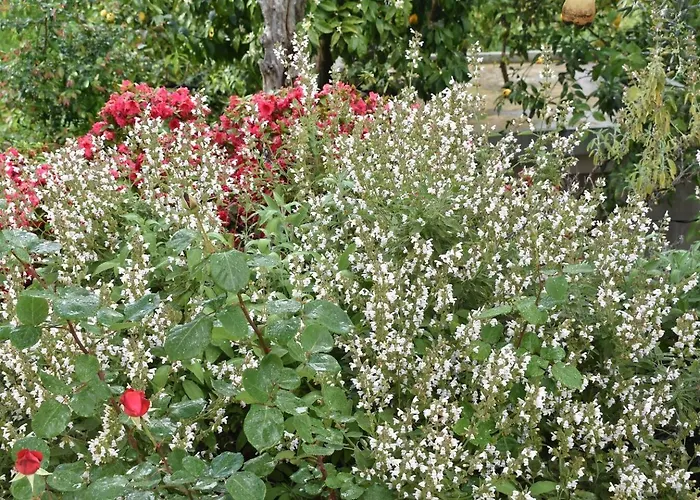 μπαλκόνι στο αιγαίο *